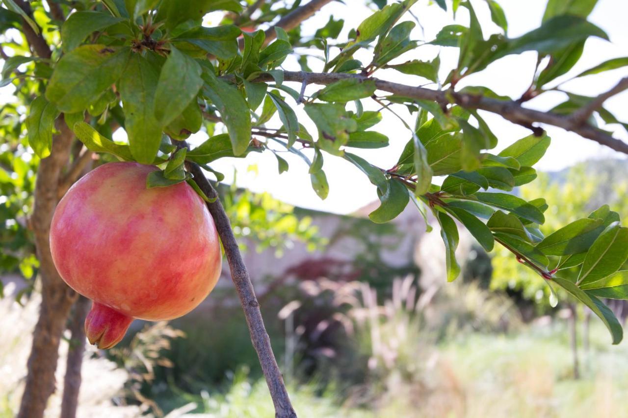 Homestay Lananai San Vito (Sardinia)