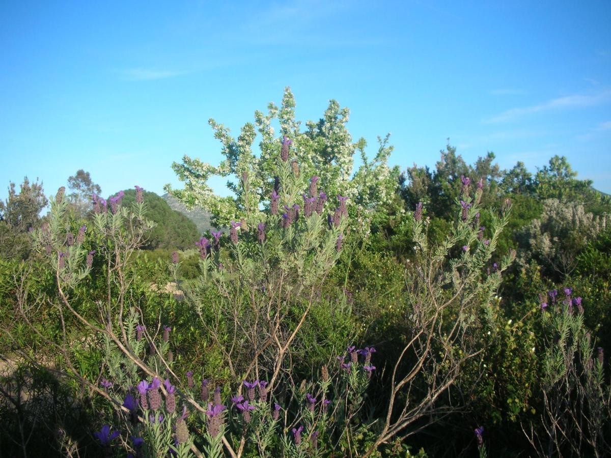 Homestay Lananai San Vito (Sardinia)