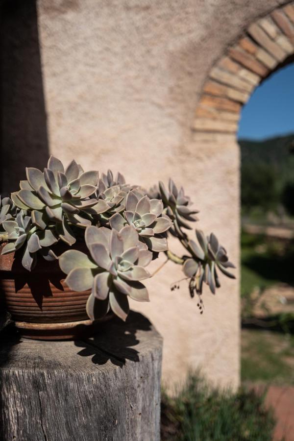 Lananai Homestay San Vito (Sardinia)
