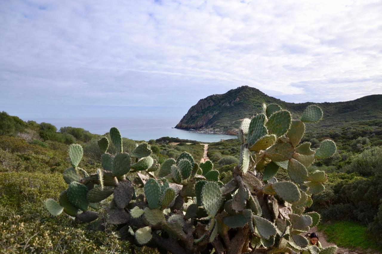 Lananai San Vito (Sardinia)